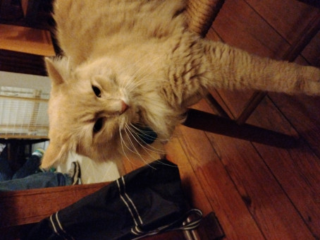 Logan, 23, United States