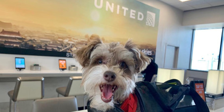 Nancy James, 32, United States