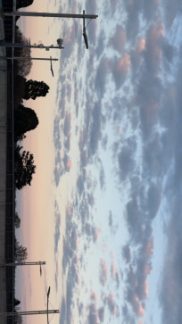 Xdxdanime For Life, 18, United Kingdom