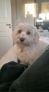 Anita B Andrew, 50, Canada