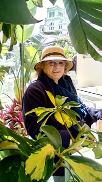 Suzy, 61, United Kingdom