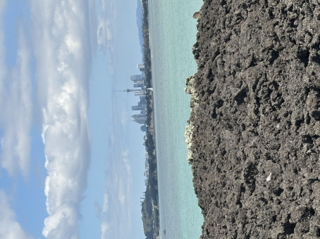 R K, 30, New Zealand