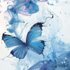 shinning_k
