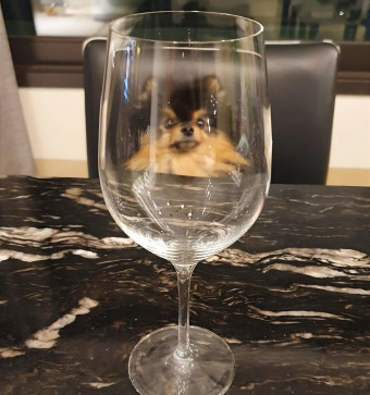 Chatpatihuyawr, 18, India