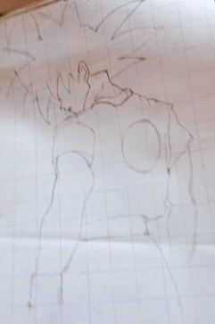 Sher E Baloch, 18, India