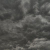 Bea