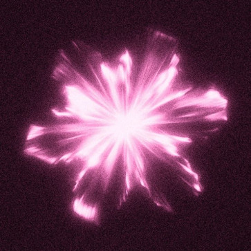 Northfr, 19, United States