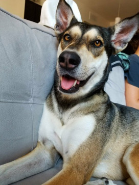 Amelia, 18, United States