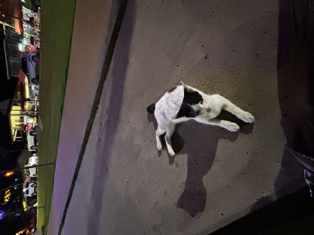 Joan Shine, 23, Malaysia