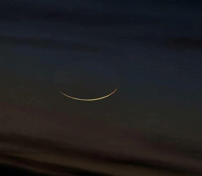 Cozy, 33, United Arab Emirates