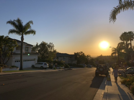 Sally, 42, United States