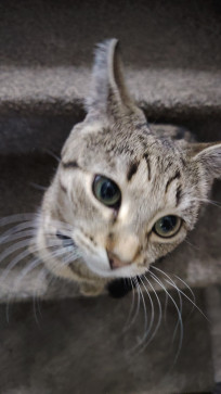 Vielr, 20, United Kingdom