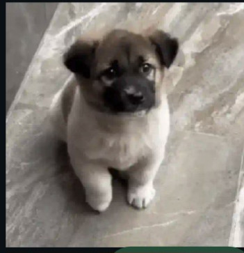 Filipe Junqueira Lop, 18, Brazil