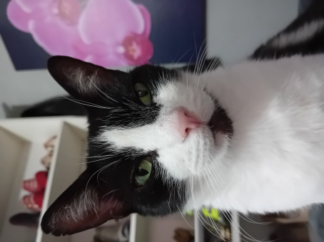 Conar, 27, United Kingdom