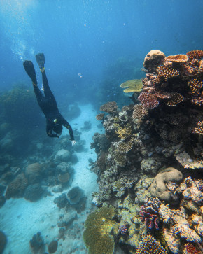 Johno, 42, Australia