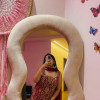 Nisha Kumari