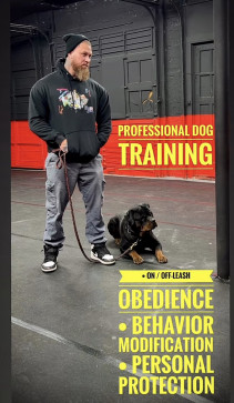 Catherine James, 18, United States