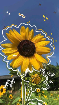 Notmeee, 22, Philippines