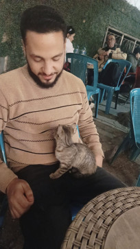 Alhussien, 32, Egypt