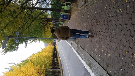 Season, 35, Japan
