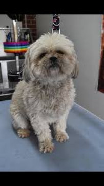 Hanna Efrain, 35, United States