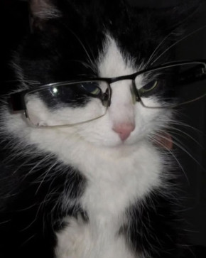 123, 99, Netherlands