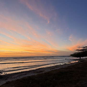 Bedixon Quero1, 51, Aruba