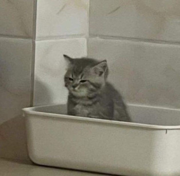 Only Wasting Time, 18, Saudi Arabia