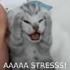 free therapy pls