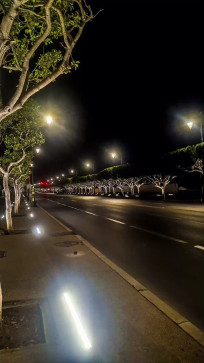 Coconut, 18, Morocco