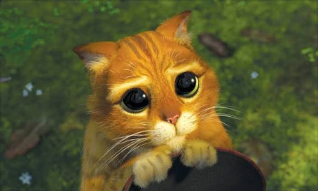 Its Ok To Not Be Ok, 38, India