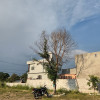 Rohit