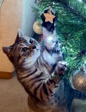 James Marks, 46, United Kingdom