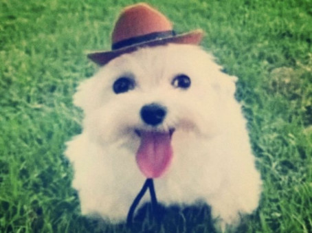 Cinnamoroll Bluu, 19, Philippines