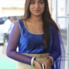alina4e