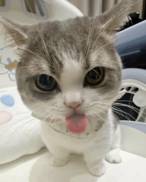 Yxngtxeenbwc, 18, United States