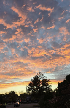 JG, 32, United States