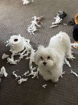 Marsya, 44, Philippines