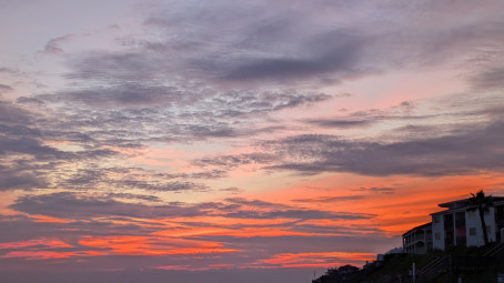 Bama, 30, United States