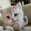 Mariem