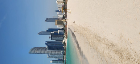 Jinu Br, 18, United Arab Emirates