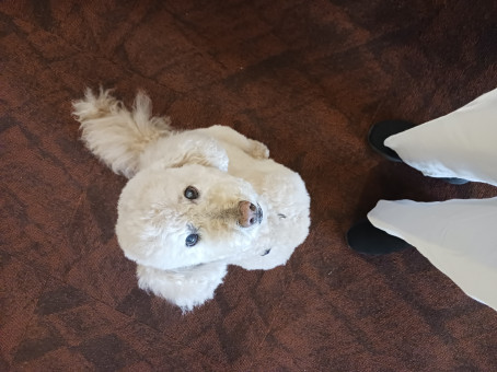 Jo Munkirs, 18, United States