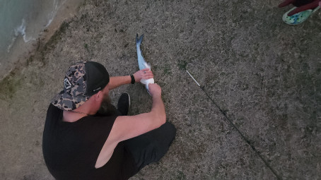 Braxton Samuel, 18, United States