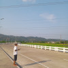 Beadump