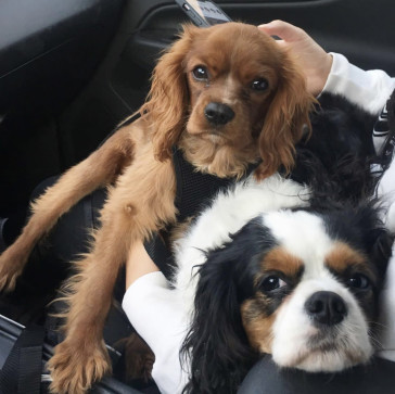 Vero, 28, United States