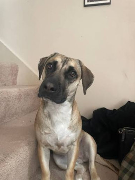 Ilovebeasts, 18, United Kingdom