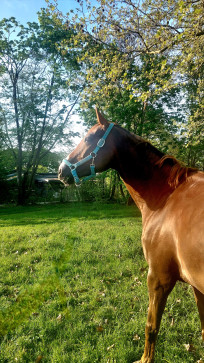 Justanotherstranger, 18, Germany