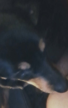 Ilovebeasts9484, 18, United Kingdom