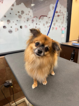 Demi Piatt200, 29, United States