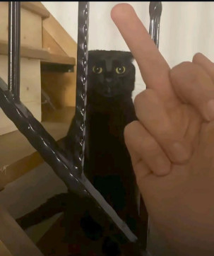 Aborted Dreams, 20, Egypt